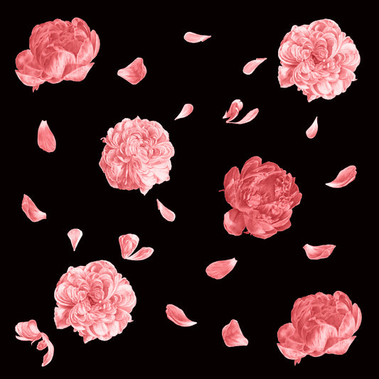 Float Coral Black, Fine Art Print