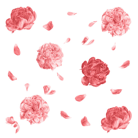 Float Coral Fine Art Print