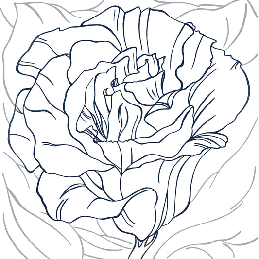 Flower Stripe, Fine Art Print