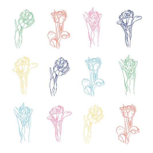 Tulips White, Fine Art Print